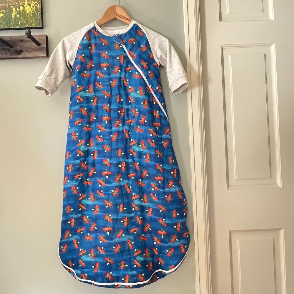 Sleep Sack  Nest Designs Eric Carle Firefly Long Sleeve